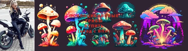винт Снежногорск