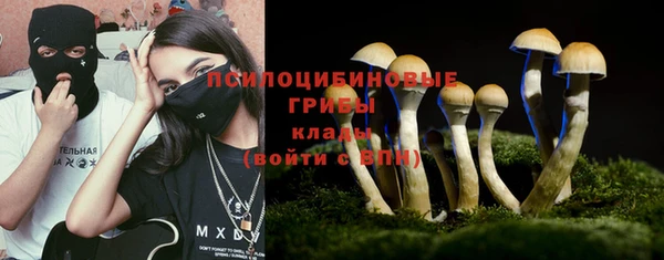 мяу мяу мука Костерёво