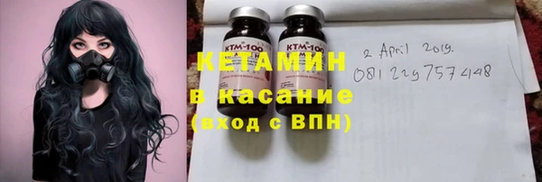 трава Корсаков