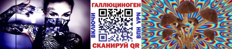 мега   Николаевск-на-Амуре  Псилоцибиновые грибы прущие грибы 
